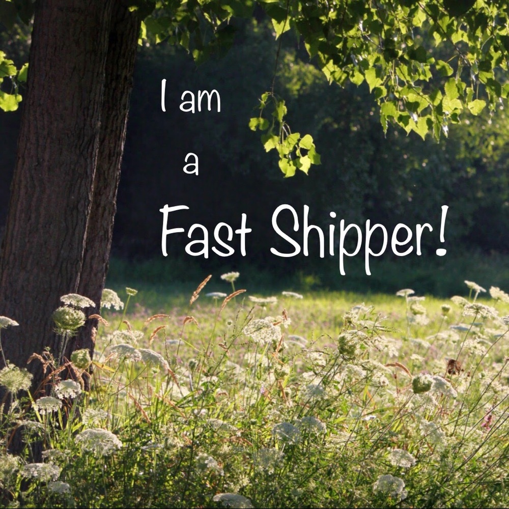 🌸 I am a fast shipper! 🌸